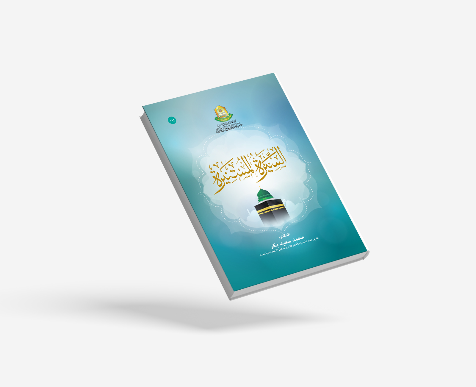 السيرة المستنيرة